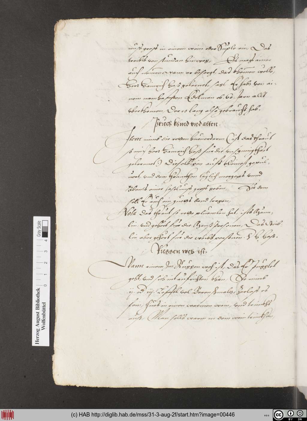 http://diglib.hab.de/mss/31-3-aug-2f/00446.jpg