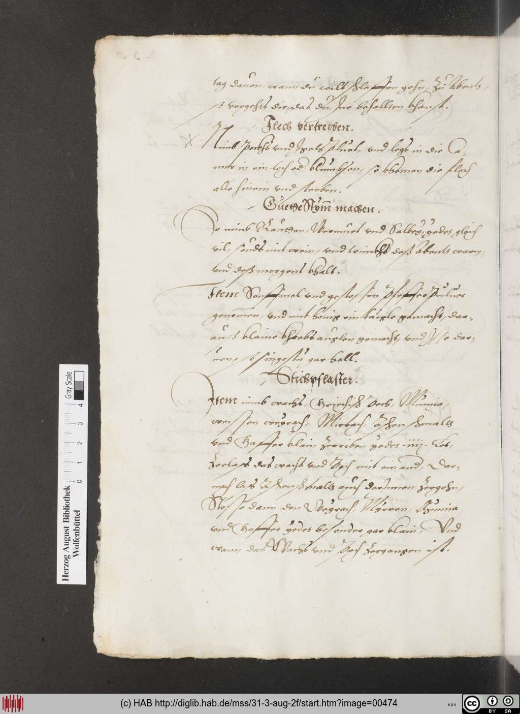 http://diglib.hab.de/mss/31-3-aug-2f/00474.jpg