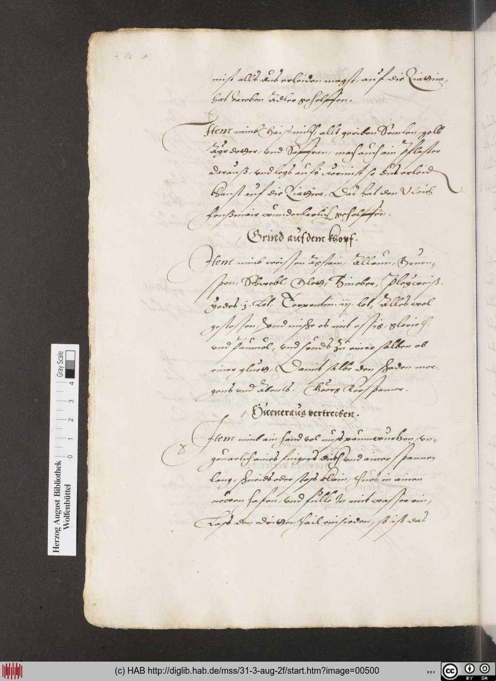 http://diglib.hab.de/mss/31-3-aug-2f/00500.jpg