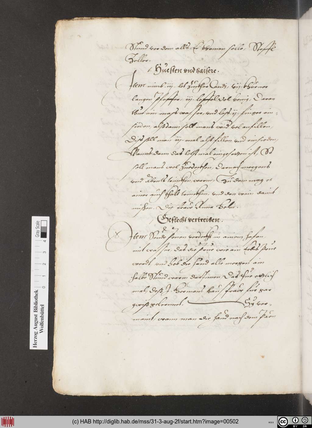http://diglib.hab.de/mss/31-3-aug-2f/00502.jpg