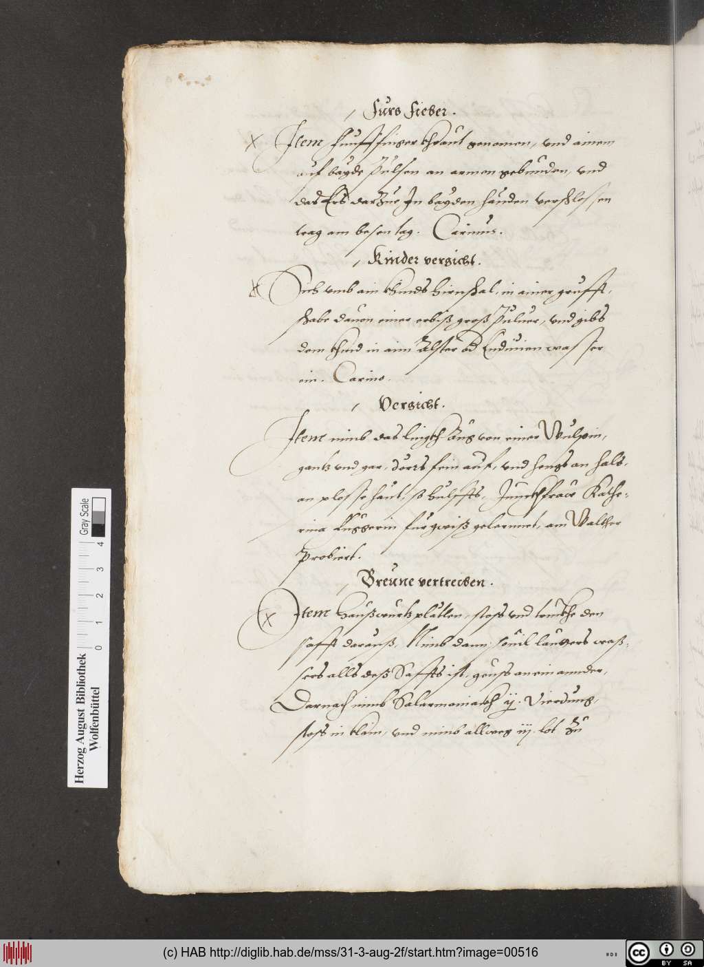 http://diglib.hab.de/mss/31-3-aug-2f/00516.jpg