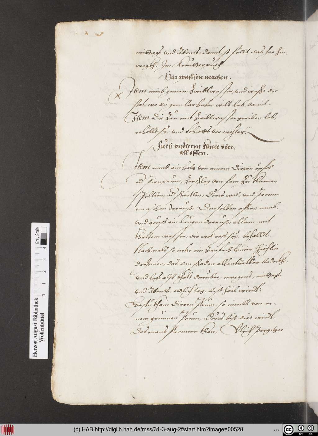 http://diglib.hab.de/mss/31-3-aug-2f/00528.jpg