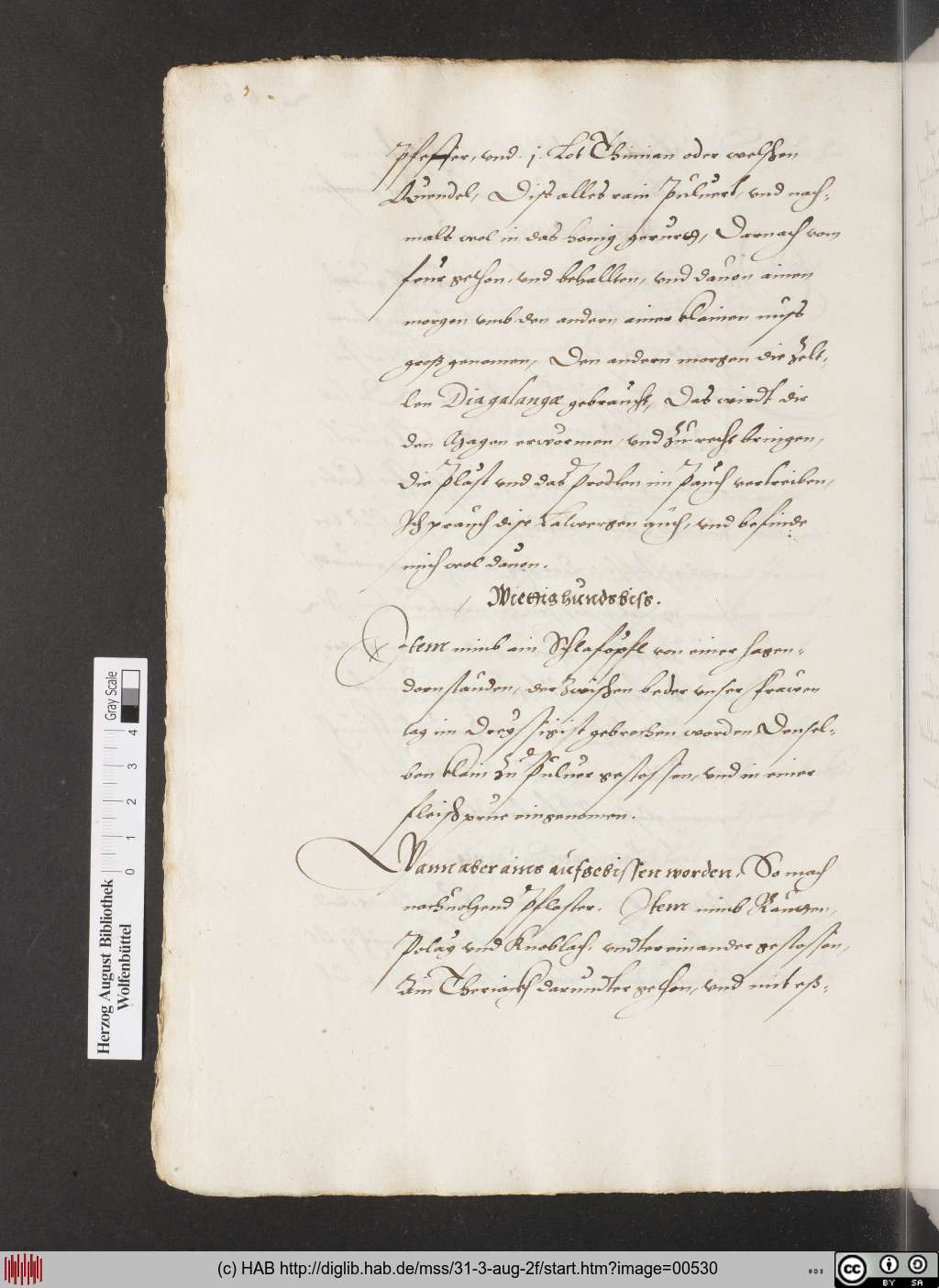 http://diglib.hab.de/mss/31-3-aug-2f/00530.jpg