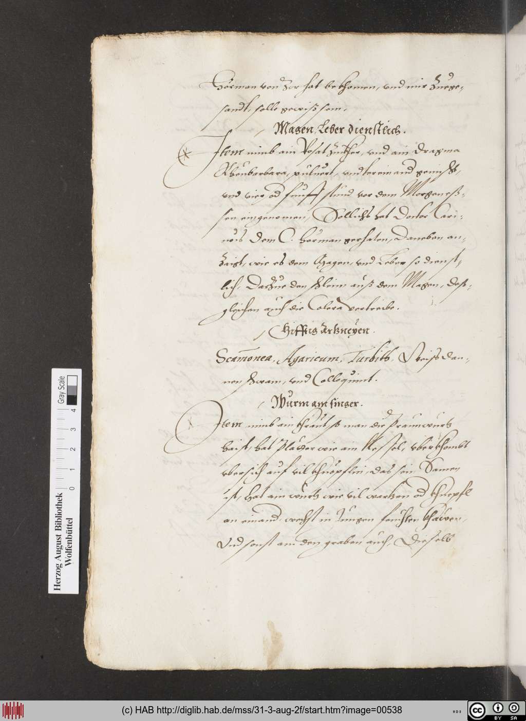 http://diglib.hab.de/mss/31-3-aug-2f/00538.jpg