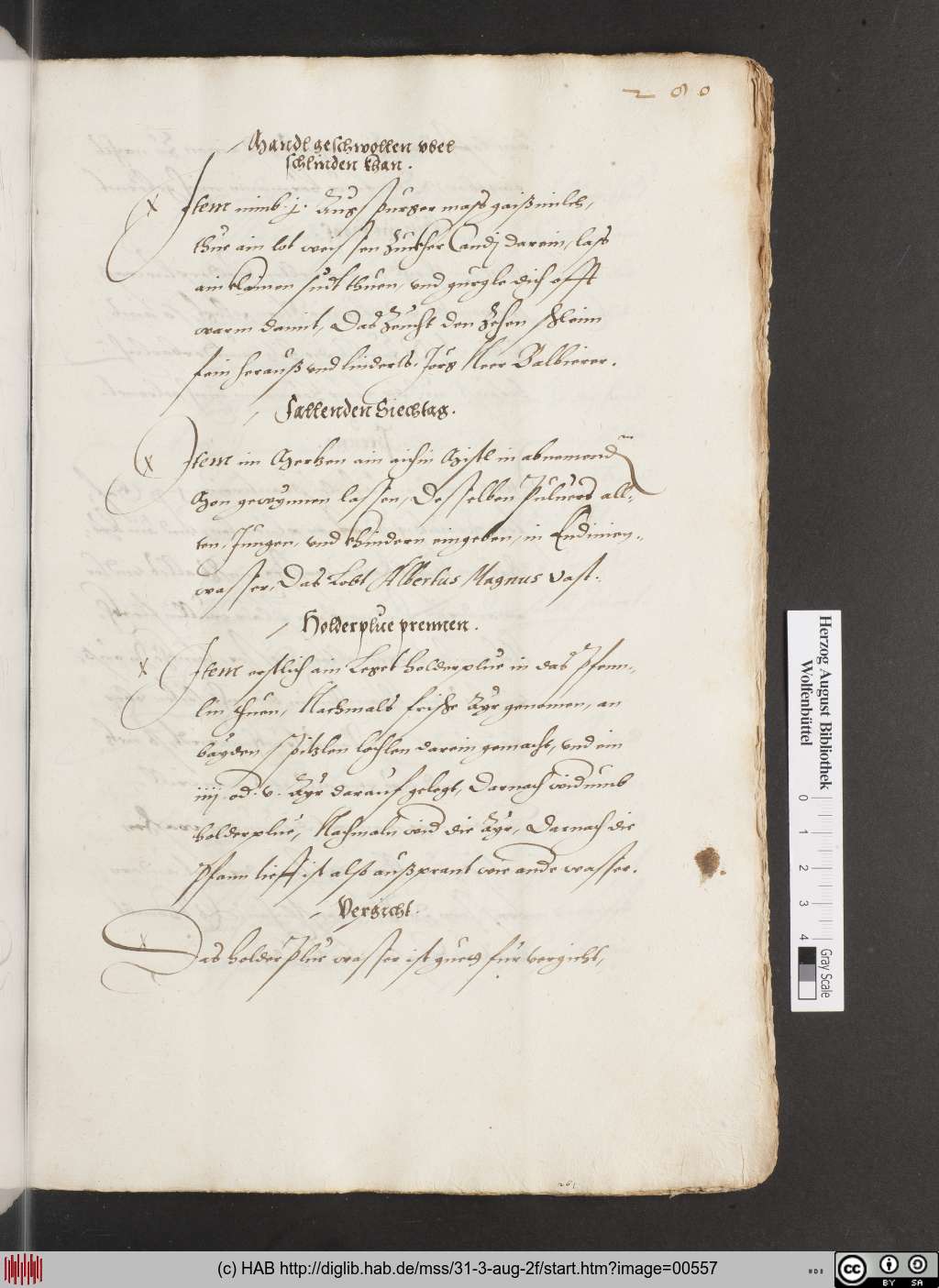 http://diglib.hab.de/mss/31-3-aug-2f/00557.jpg