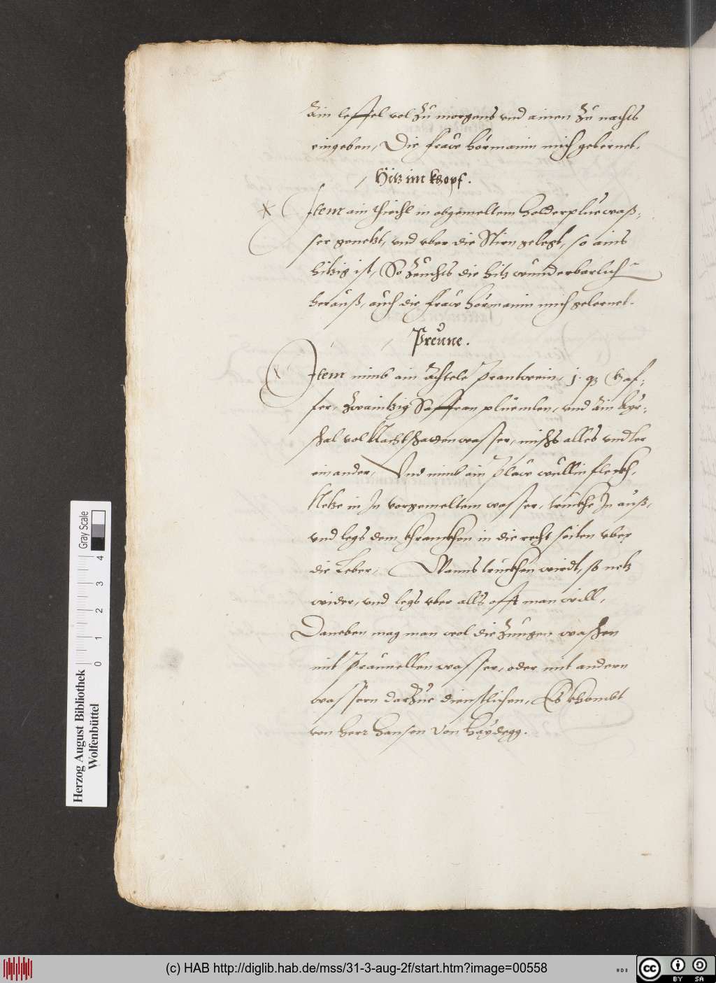 http://diglib.hab.de/mss/31-3-aug-2f/00558.jpg