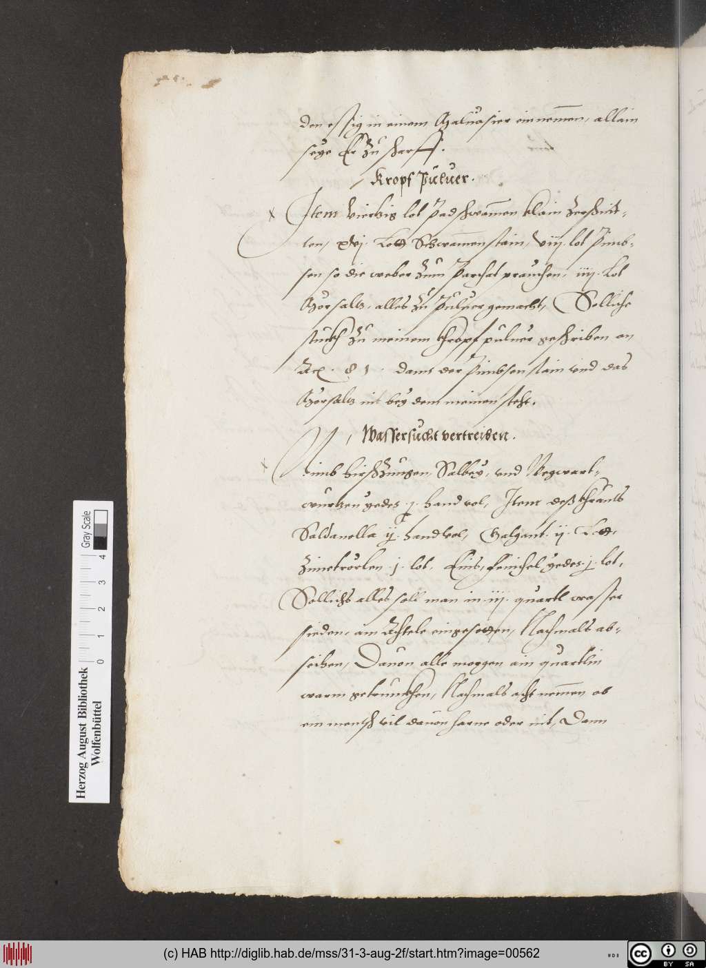 http://diglib.hab.de/mss/31-3-aug-2f/00562.jpg