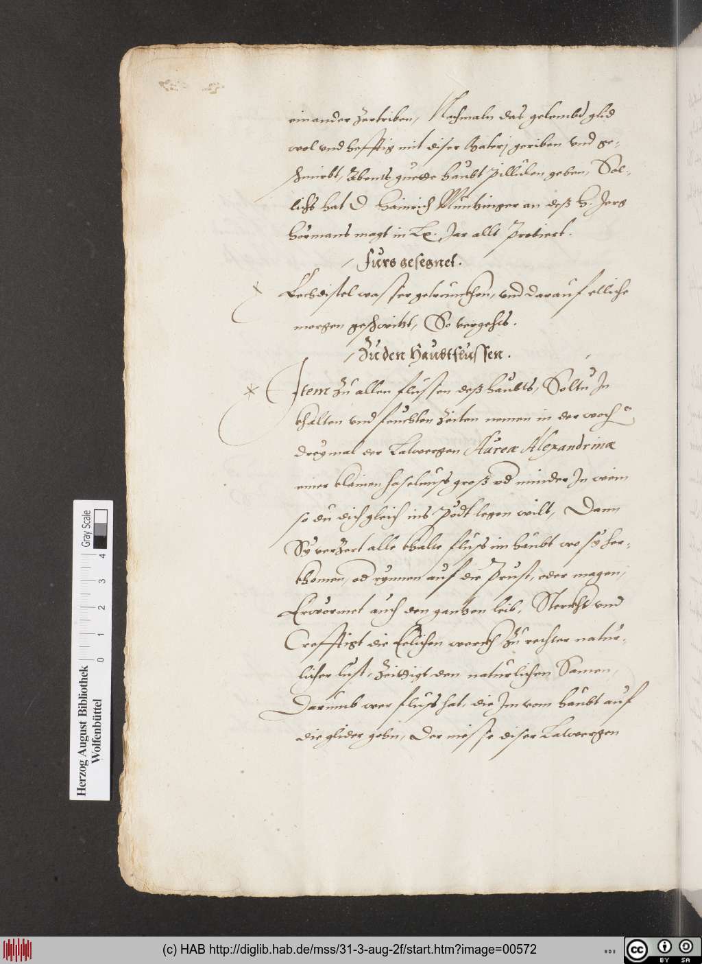 http://diglib.hab.de/mss/31-3-aug-2f/00572.jpg
