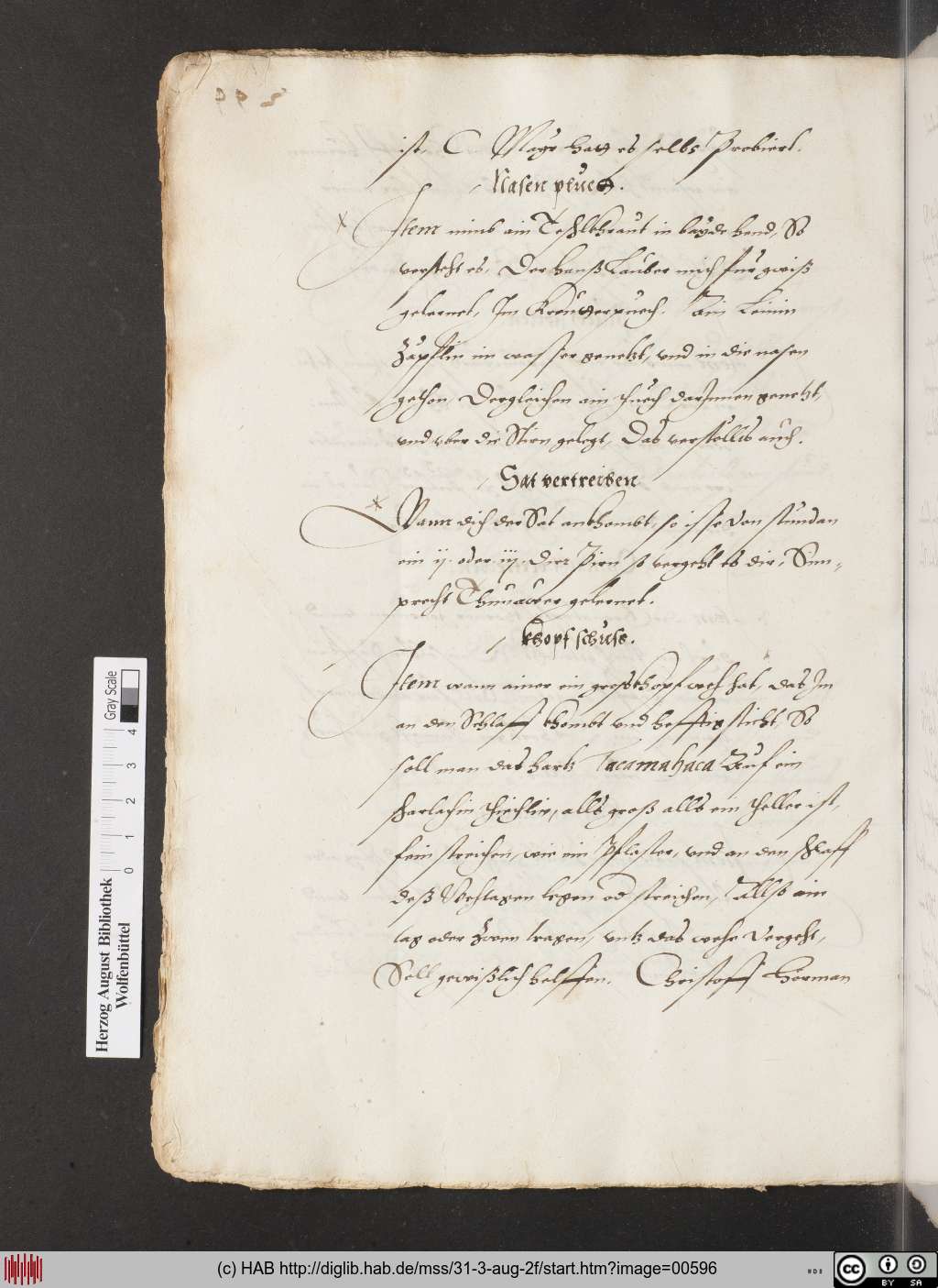 http://diglib.hab.de/mss/31-3-aug-2f/00596.jpg