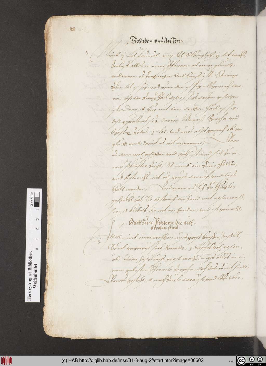 http://diglib.hab.de/mss/31-3-aug-2f/00602.jpg