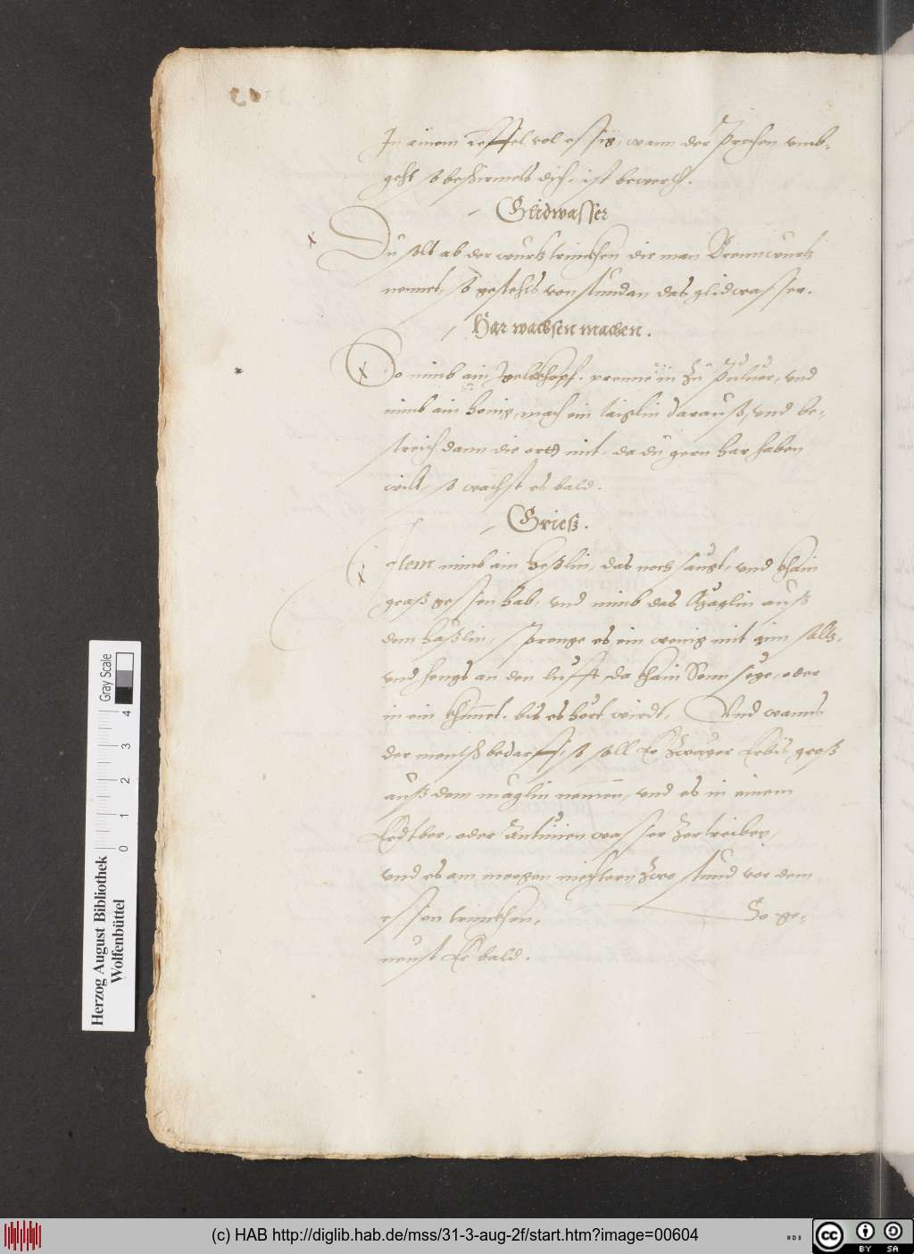 http://diglib.hab.de/mss/31-3-aug-2f/00604.jpg