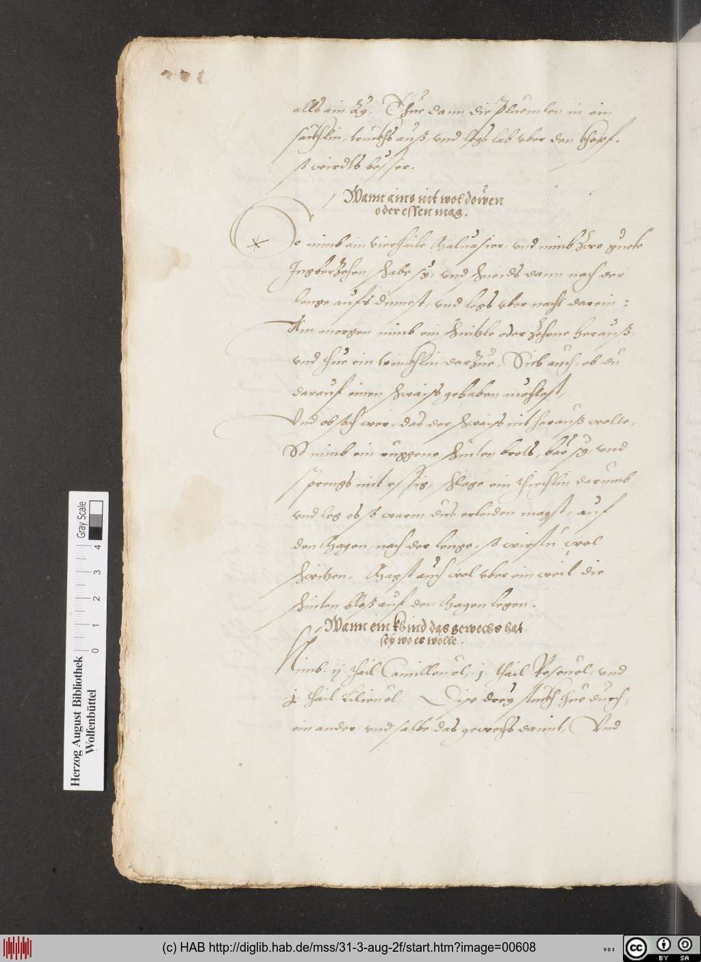 http://diglib.hab.de/mss/31-3-aug-2f/00608.jpg