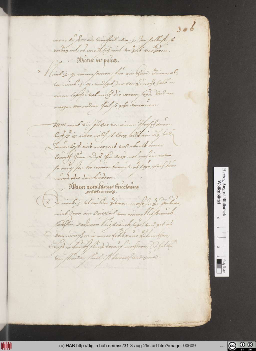 http://diglib.hab.de/mss/31-3-aug-2f/00609.jpg