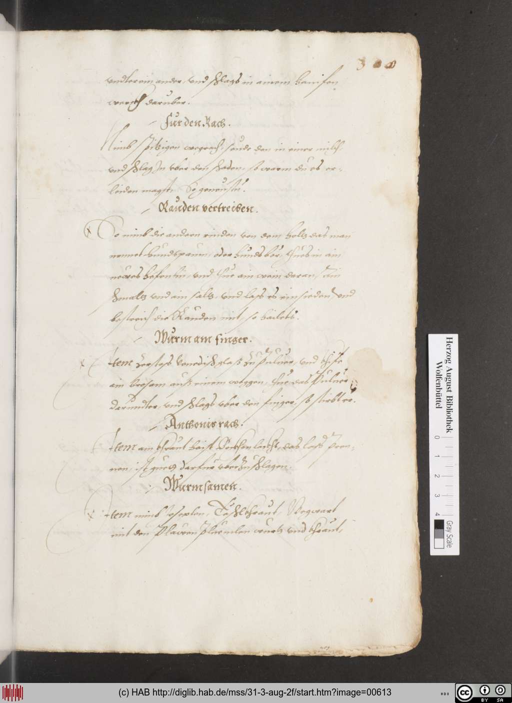 http://diglib.hab.de/mss/31-3-aug-2f/00613.jpg