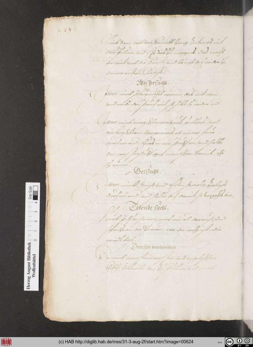 http://diglib.hab.de/mss/31-3-aug-2f/00624.jpg