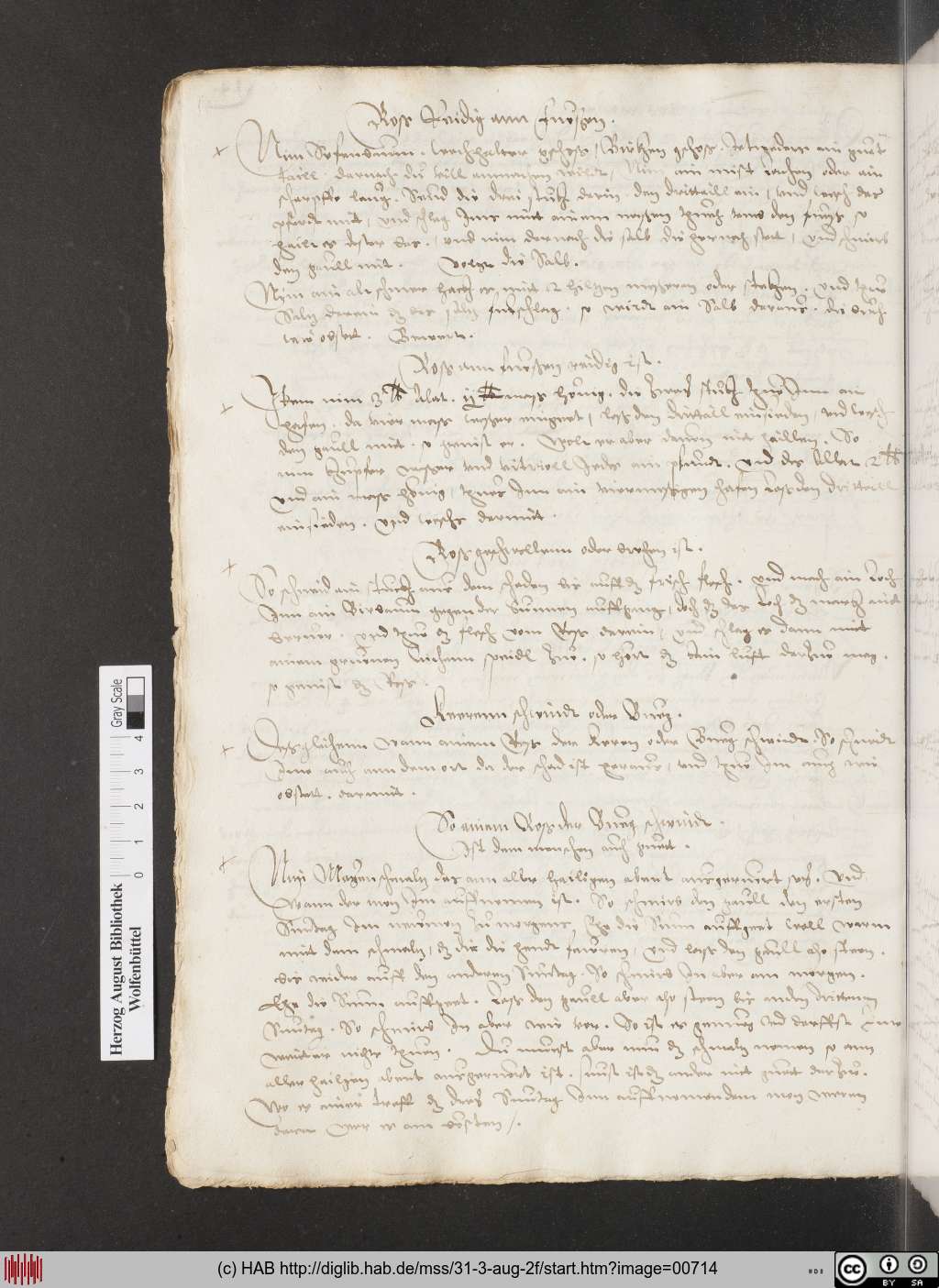 http://diglib.hab.de/mss/31-3-aug-2f/00714.jpg
