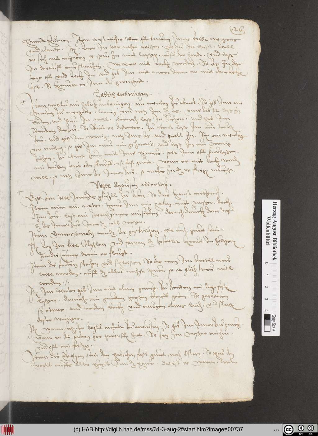 http://diglib.hab.de/mss/31-3-aug-2f/00737.jpg