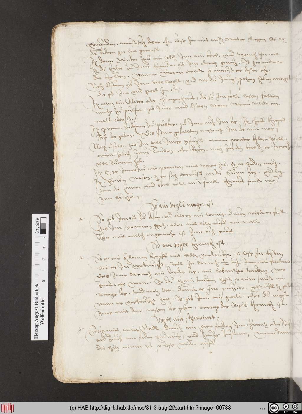 http://diglib.hab.de/mss/31-3-aug-2f/00738.jpg