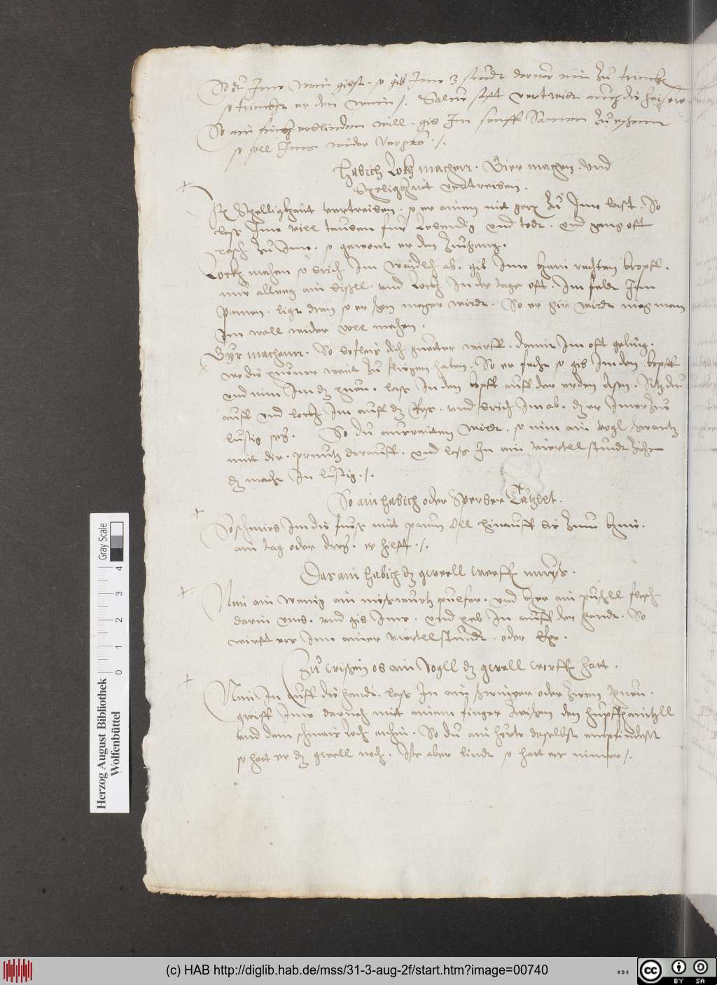 http://diglib.hab.de/mss/31-3-aug-2f/00740.jpg