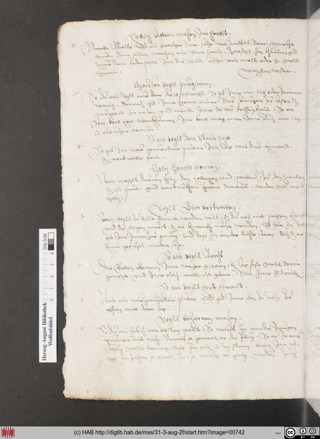 http://diglib.hab.de/mss/31-3-aug-2f/00742.jpg