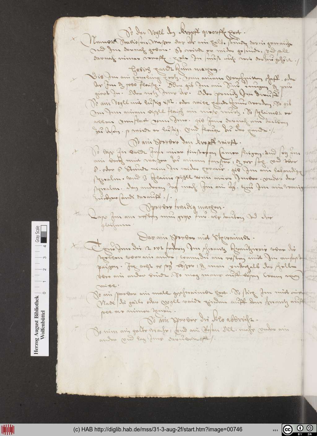 http://diglib.hab.de/mss/31-3-aug-2f/00746.jpg