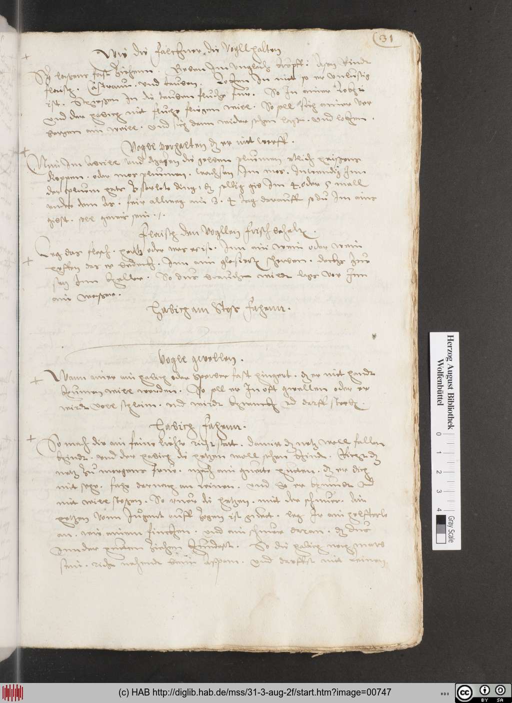http://diglib.hab.de/mss/31-3-aug-2f/00747.jpg