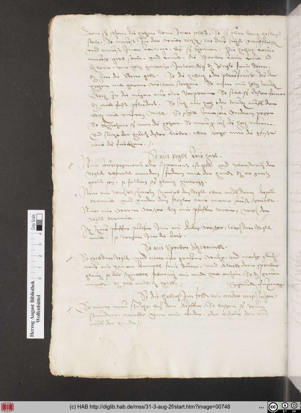 http://diglib.hab.de/mss/31-3-aug-2f/00748.jpg