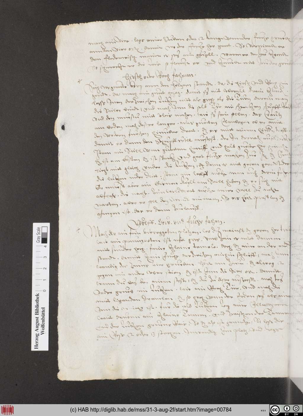 http://diglib.hab.de/mss/31-3-aug-2f/00784.jpg