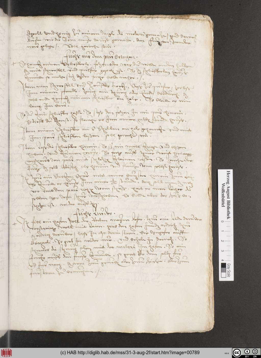 http://diglib.hab.de/mss/31-3-aug-2f/00789.jpg