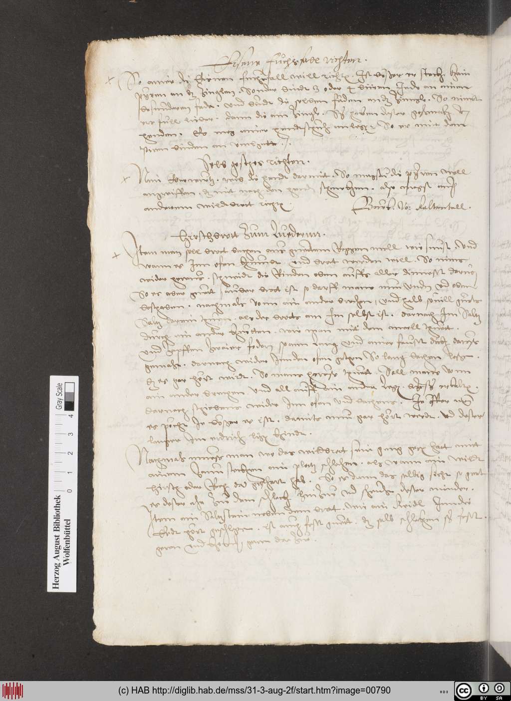 http://diglib.hab.de/mss/31-3-aug-2f/00790.jpg