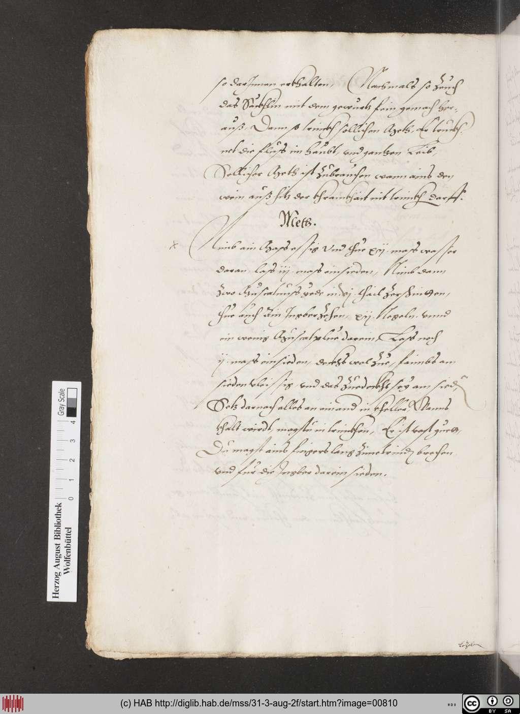 http://diglib.hab.de/mss/31-3-aug-2f/00810.jpg