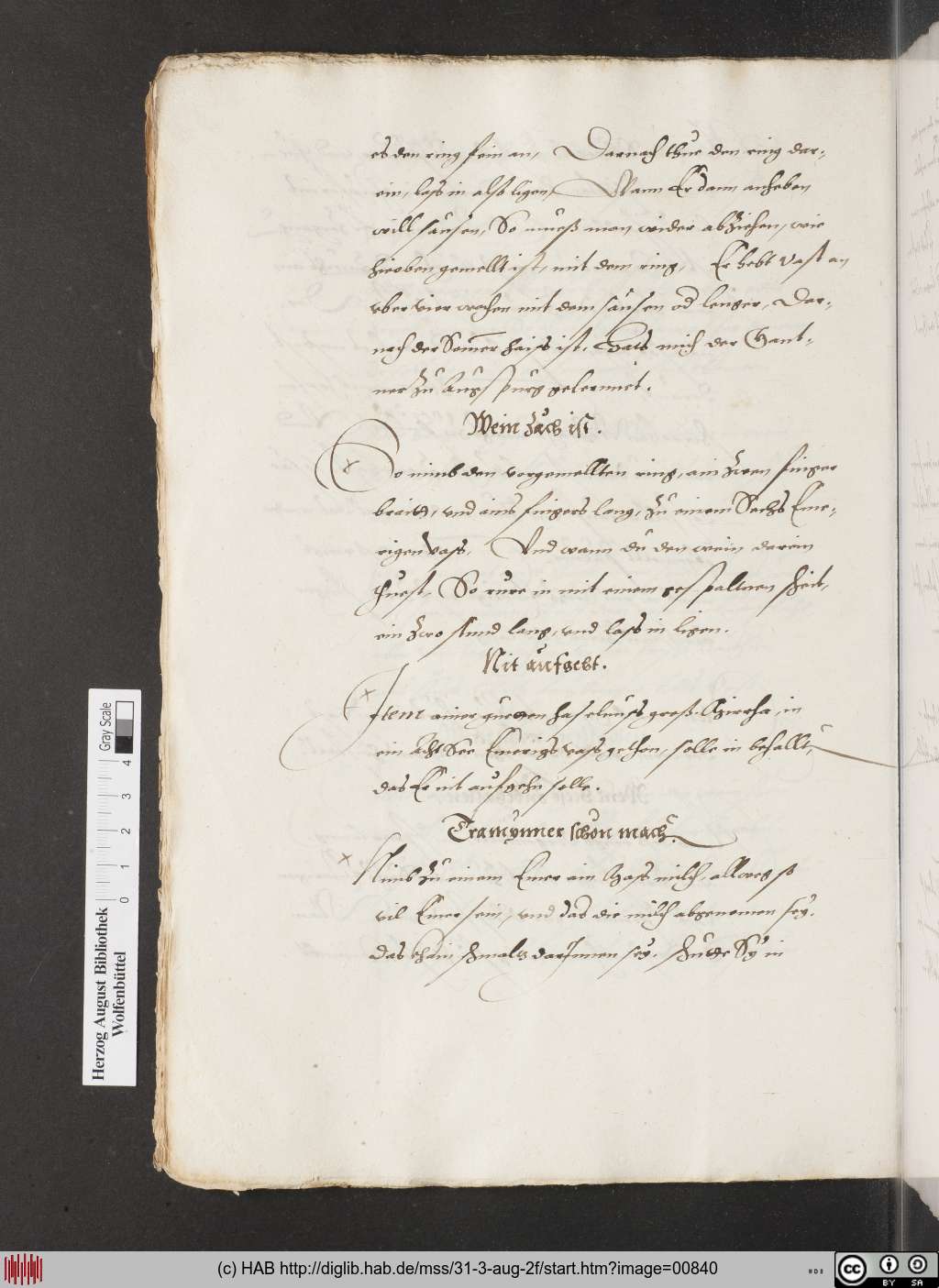 http://diglib.hab.de/mss/31-3-aug-2f/00840.jpg