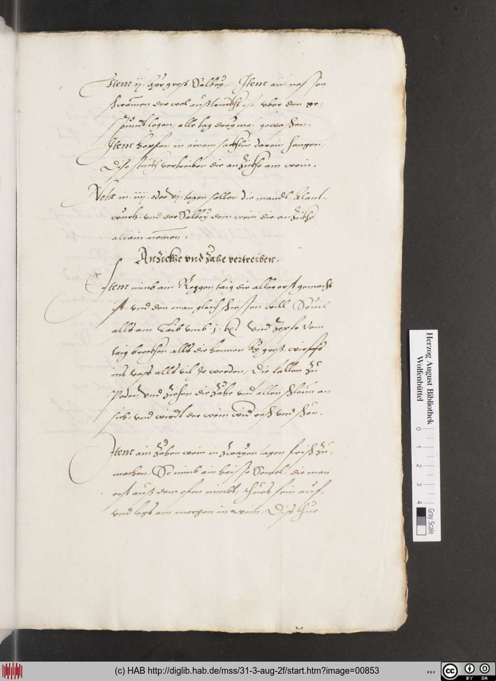 http://diglib.hab.de/mss/31-3-aug-2f/00853.jpg