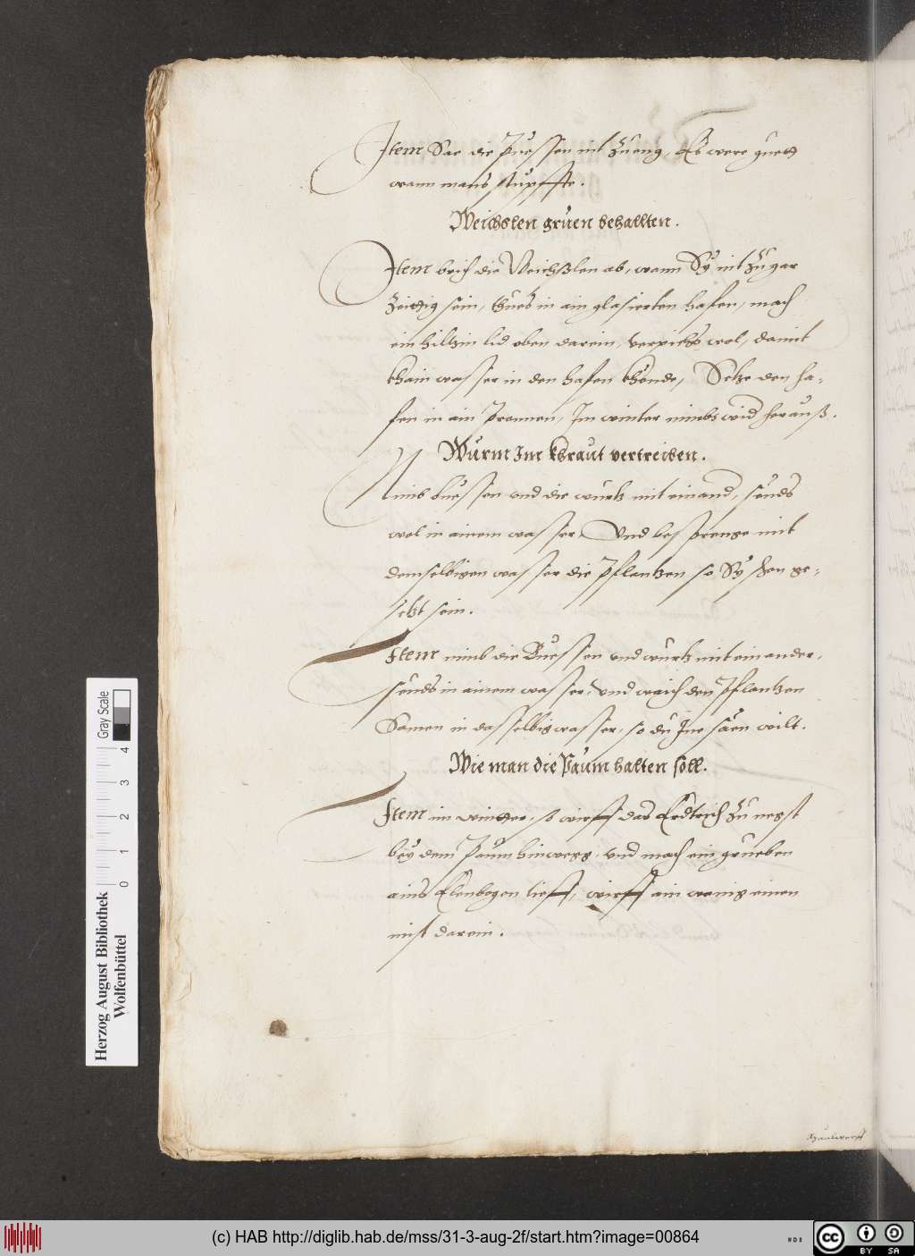 http://diglib.hab.de/mss/31-3-aug-2f/00864.jpg