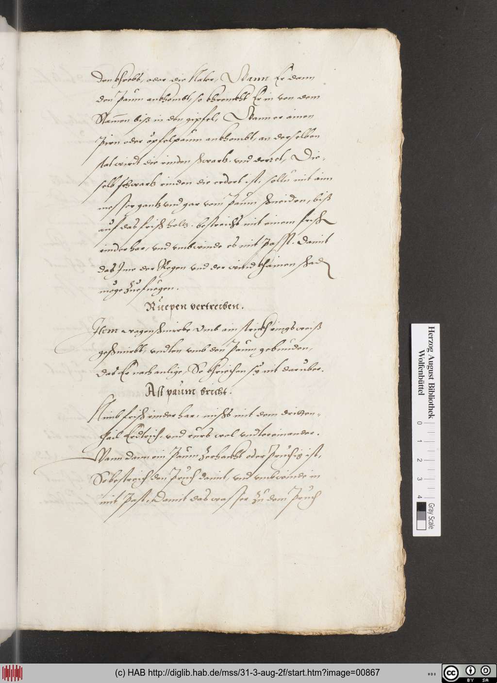 http://diglib.hab.de/mss/31-3-aug-2f/00867.jpg