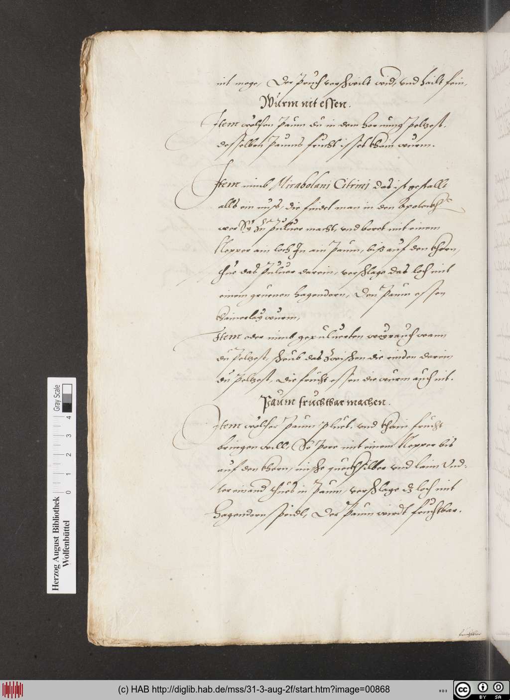 http://diglib.hab.de/mss/31-3-aug-2f/00868.jpg