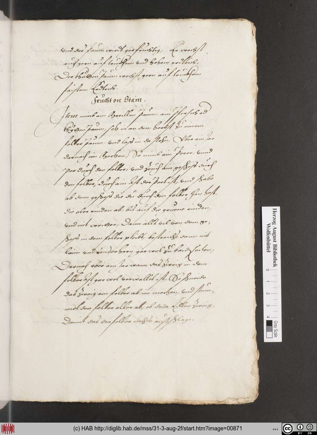 http://diglib.hab.de/mss/31-3-aug-2f/00871.jpg