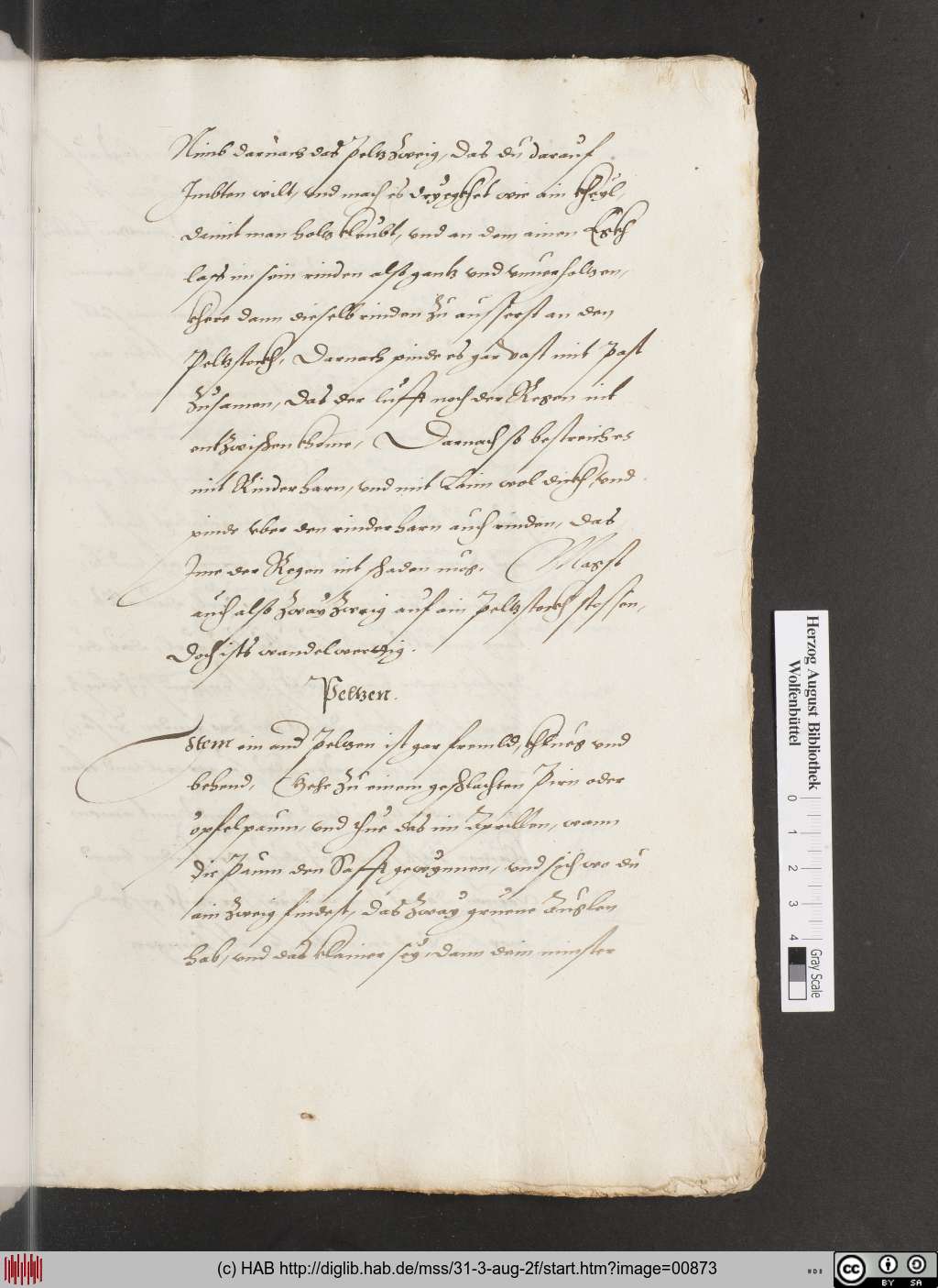 http://diglib.hab.de/mss/31-3-aug-2f/00873.jpg