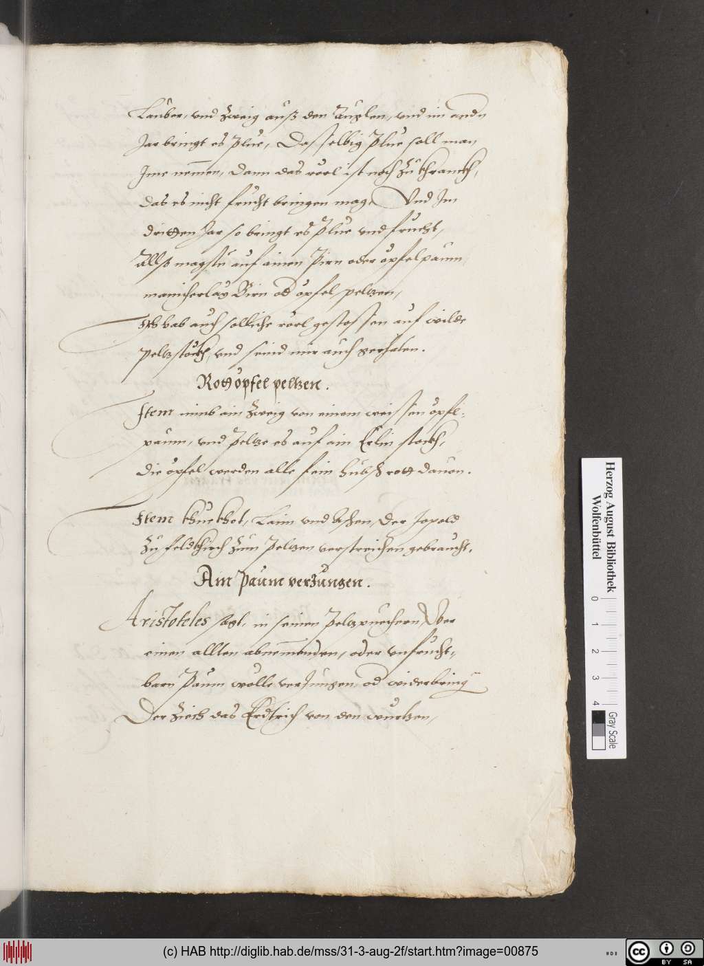 http://diglib.hab.de/mss/31-3-aug-2f/00875.jpg