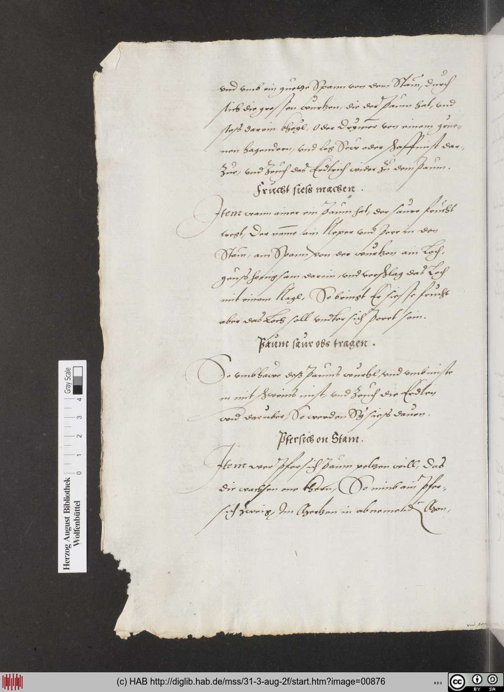 http://diglib.hab.de/mss/31-3-aug-2f/00876.jpg