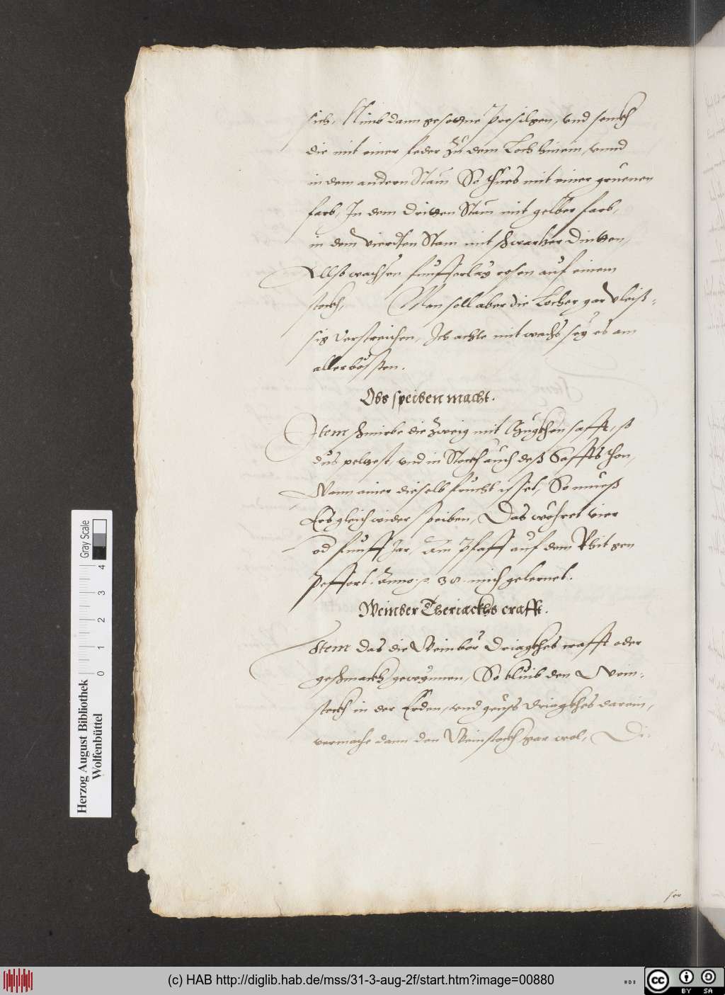 http://diglib.hab.de/mss/31-3-aug-2f/00880.jpg