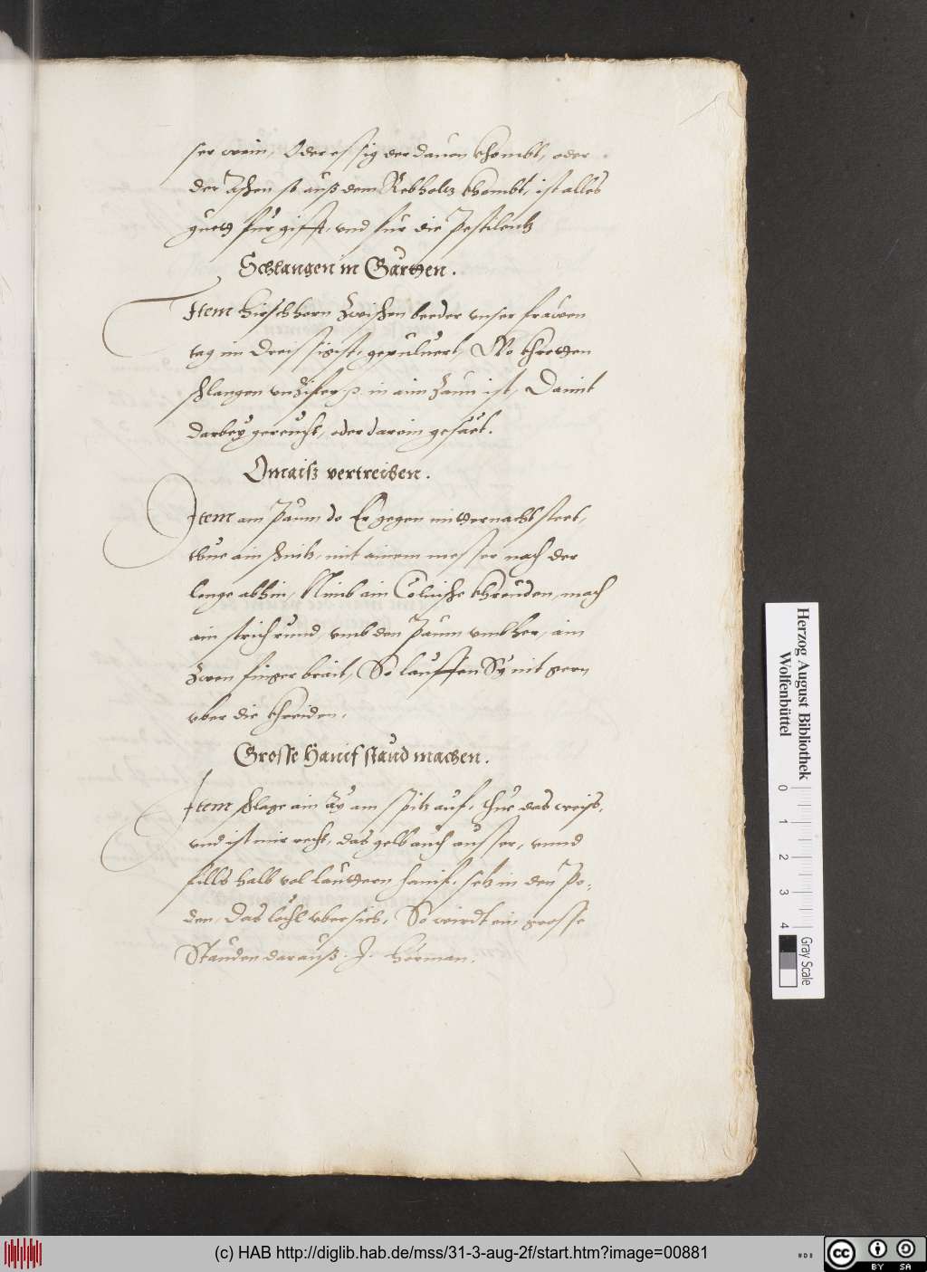 http://diglib.hab.de/mss/31-3-aug-2f/00881.jpg