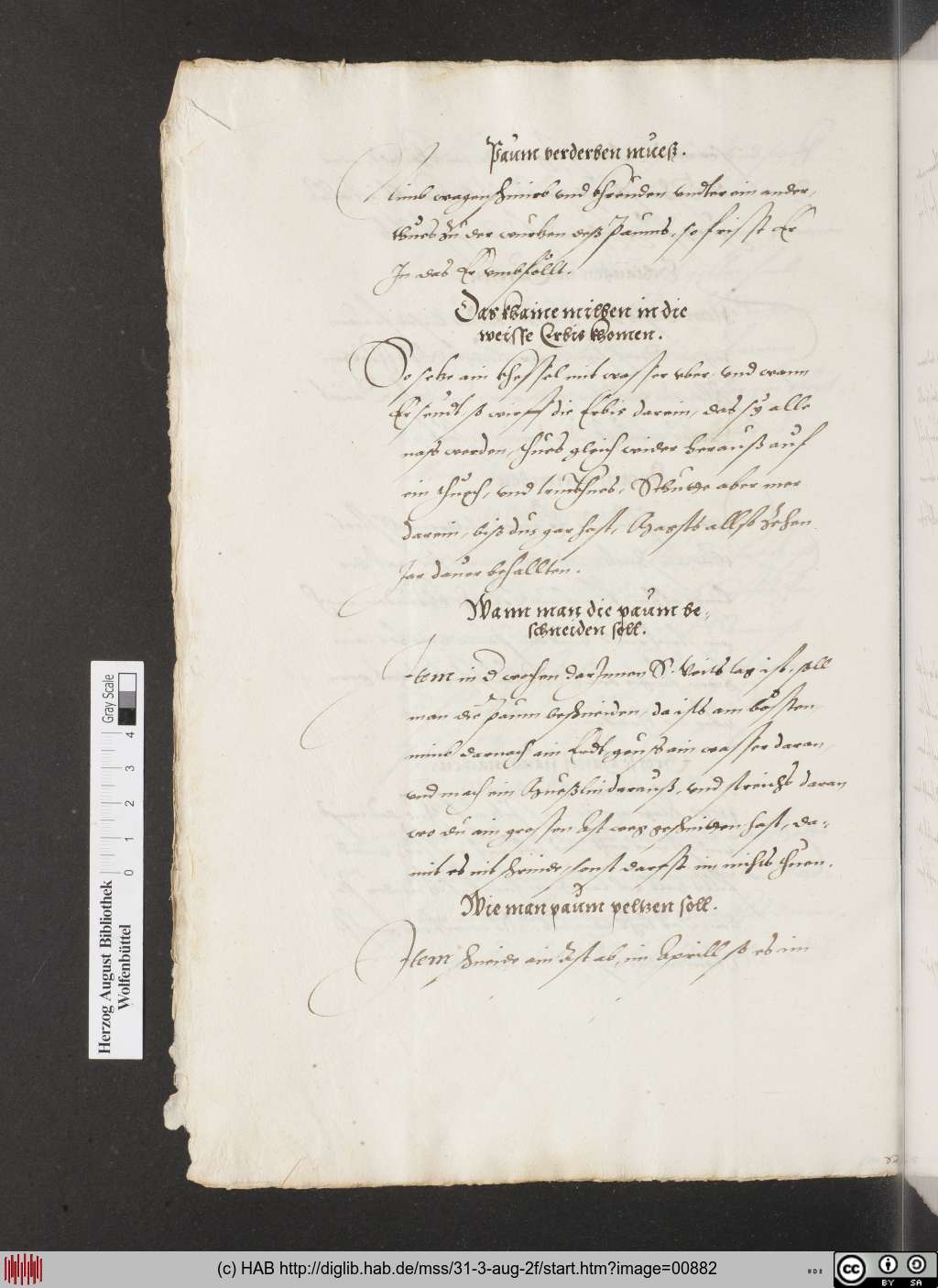 http://diglib.hab.de/mss/31-3-aug-2f/00882.jpg