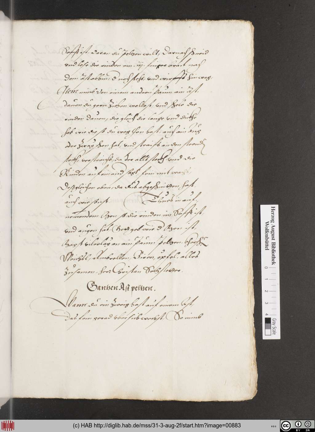 http://diglib.hab.de/mss/31-3-aug-2f/00883.jpg