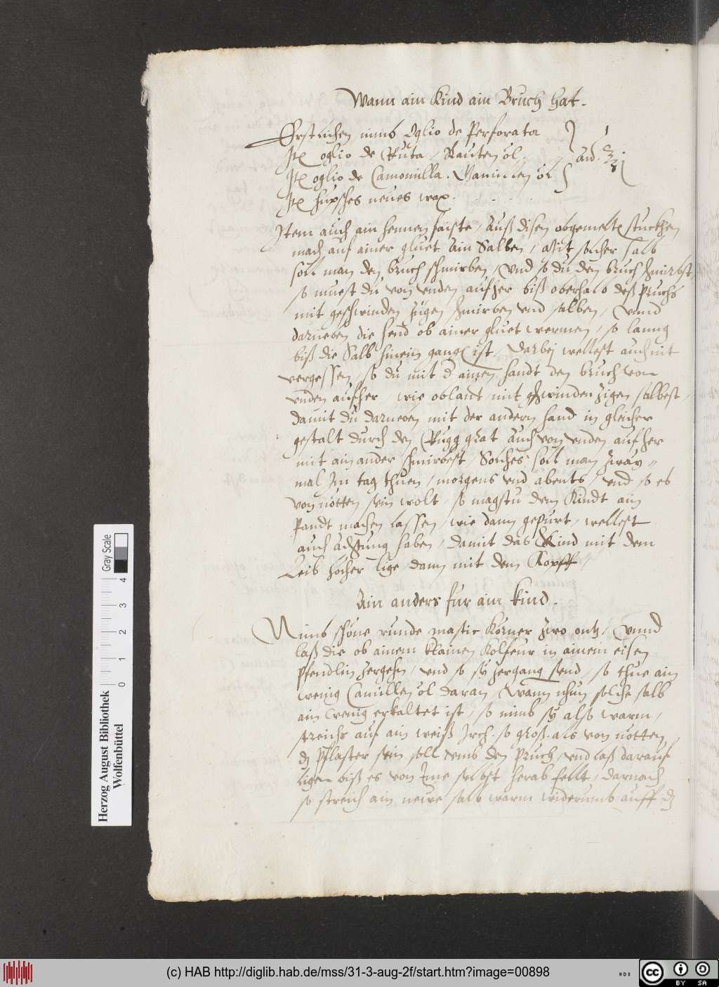 http://diglib.hab.de/mss/31-3-aug-2f/00898.jpg