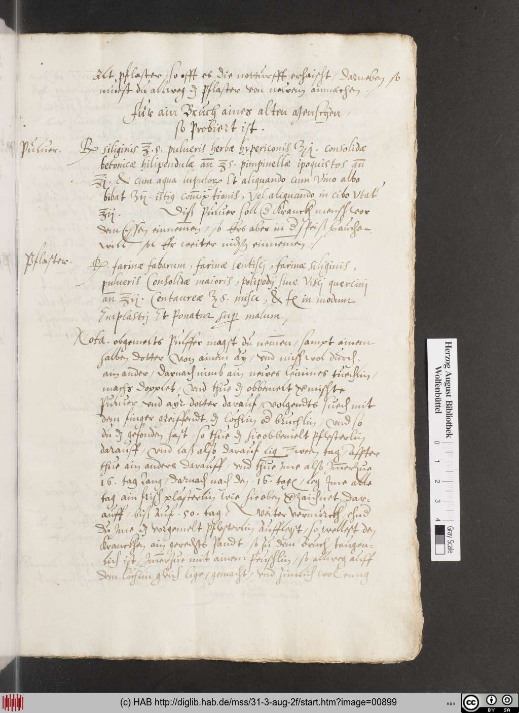 http://diglib.hab.de/mss/31-3-aug-2f/00899.jpg