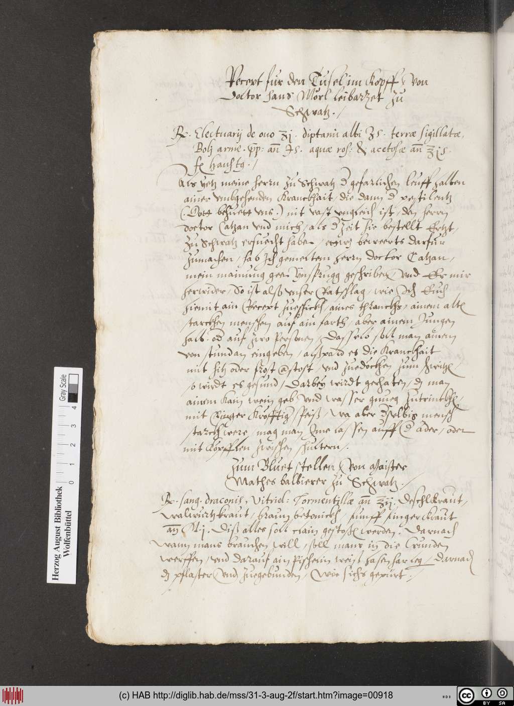 http://diglib.hab.de/mss/31-3-aug-2f/00918.jpg