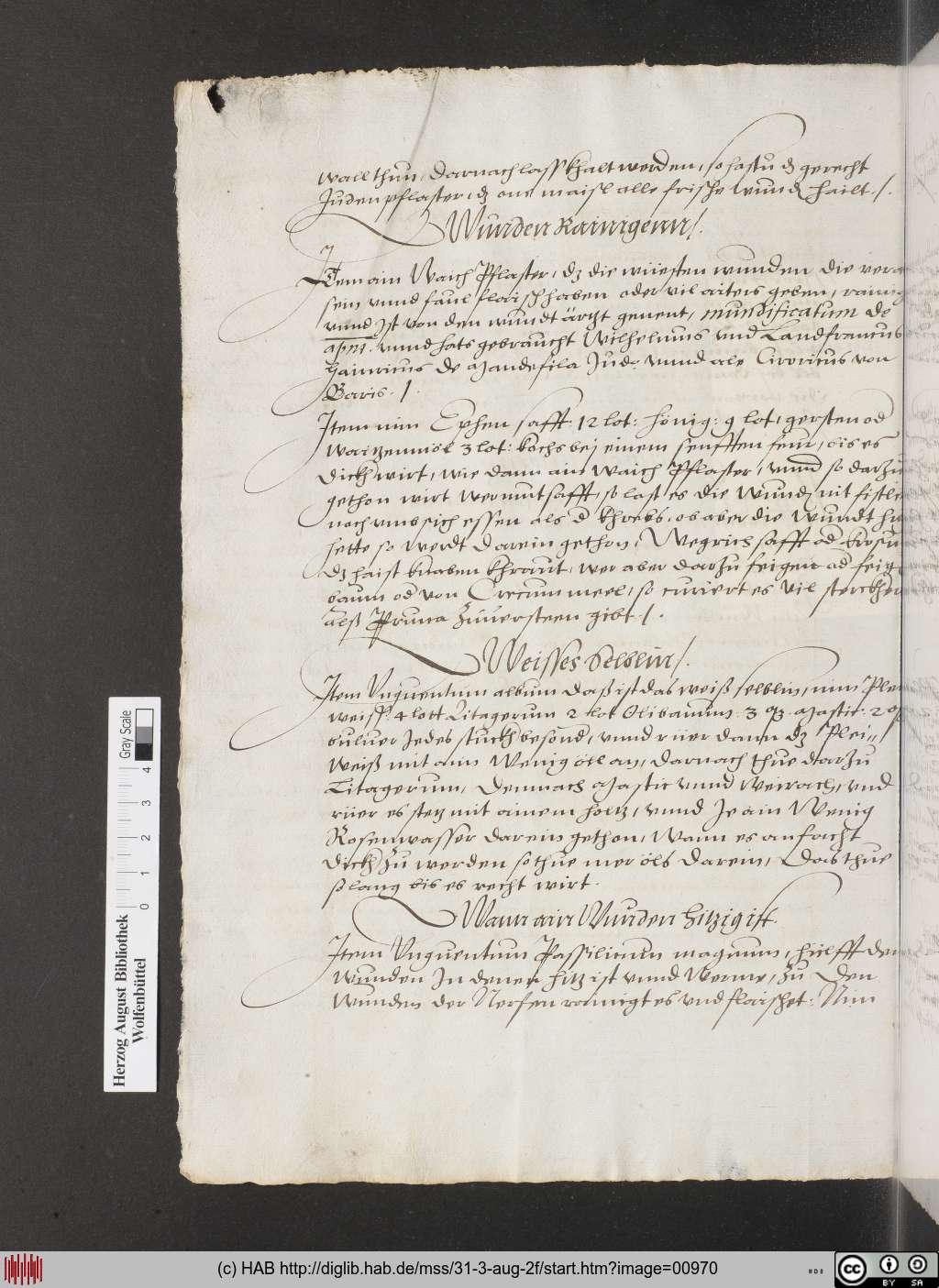 http://diglib.hab.de/mss/31-3-aug-2f/00970.jpg