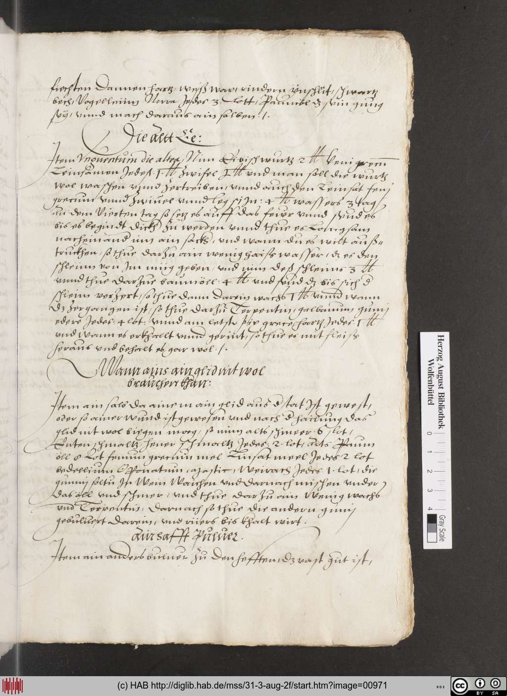 http://diglib.hab.de/mss/31-3-aug-2f/00971.jpg