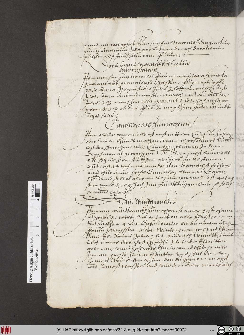 http://diglib.hab.de/mss/31-3-aug-2f/00972.jpg